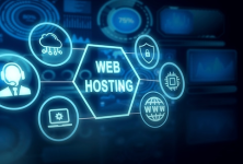 Web Hosting Company