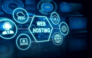 Web Hosting Company